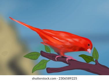 A red bird with a mountain and sea background