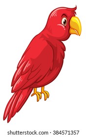 Red bird on white background illustration