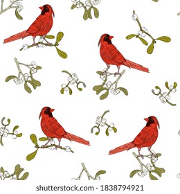 red bird with a tufted sits on a  branch of mistletoe. Christmas, New Year seamless pattern with traditional mistletoe. Hand drawing, cardinal bird.