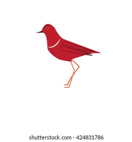 red bird - vector illustrator