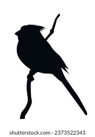 Pájaro rojo en silueta vectorial Pájaro de invierno cardenal rojo