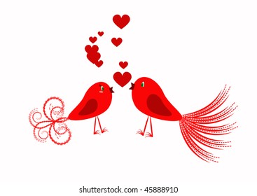 red bird wild fun feather nature