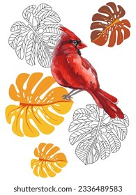 Red birds and tropical monstera plants. Can be used as a postcard, cover background, or for a web message. Vector illustration in a watercolor style. 