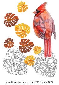 Red birds and tropical monstera plants. Can be used as a postcard, cover background, or for a web message. Vector illustration in a watercolor style.