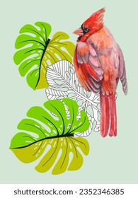 Red birds and tropical monstera plants. Can be used as a postcard, cover background, or for a web message. Vector illustration in a watercolor style. 
