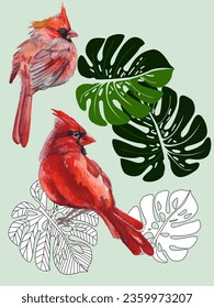 Red birds and tropical monstera plants. Can be used as a postcard, cover background, or for a web message. Vector illustration in a watercolor style.