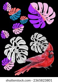 Red birds and tropical monstera plants. Can be used as a postcard, cover background, or for a web message. Vector illustration in a watercolor style. 
