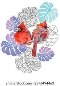 Red birds and tropical monstera plants. Can be used as a postcard, cover background, or for a web message. Vector illustration in a watercolor style. 
