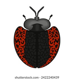 Red black beetle with antennae and legs, top view of crawly insect vector illustration