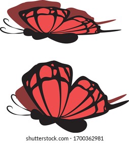 red and black Butterfly vector flat icon