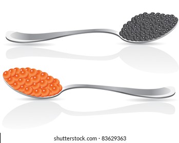 red and black caviar in spoon vector illustration