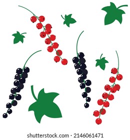 Red and black currant pattern. Vector illustration