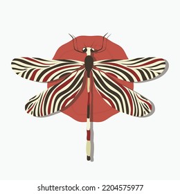  Red and black dragonfly with colorful beautiful wavey pattern, delicate wings with rose in background , editable ,vector illustration