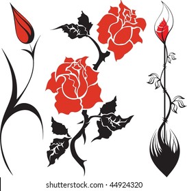 red and black flowers