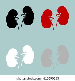 Red black grey white kidneys icon. Set icons.
