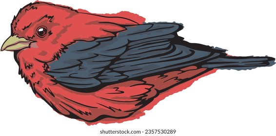 red and black hand drawn scarlet tanager