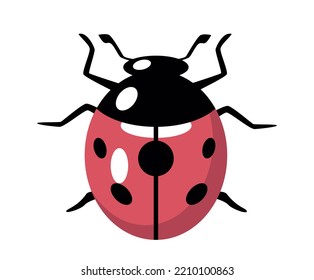 Red and black ladybug icon. Insect top view, biology. Nature and wild life. Symbol of summer and spring seasons. Sticker for social networks and instant messengers. Cartoon flat vector illustration