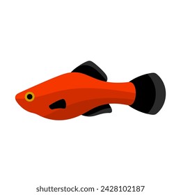 Red and black tropical fish. Aquarium fish. Flat style vector illustration.