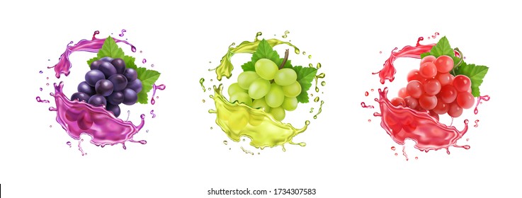 Red, black and white wine grapes in juice splash. Table rose grape banches in splashing wine. Realistic fresh fruit vector icon set.