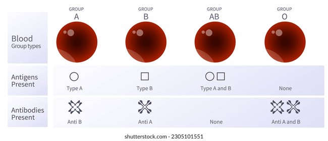 Tipo de glóbulos rojos. Compatibilidad de antígenos y anticuerpos. Puede darle sangre. Puede recibir de. Donante y receptor. Gráfica de grupo universal y grupo sanguíneo. Tabla de grupos sanguíneos  