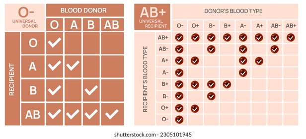 Red Blood cell group type. Antigens and antibodies compatibility. Can give blood to. Can receive from. Donor and recipient. Universal group and Blood group chart. Blood group table  