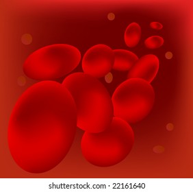 Red blood cells flowing through blood vessels vector