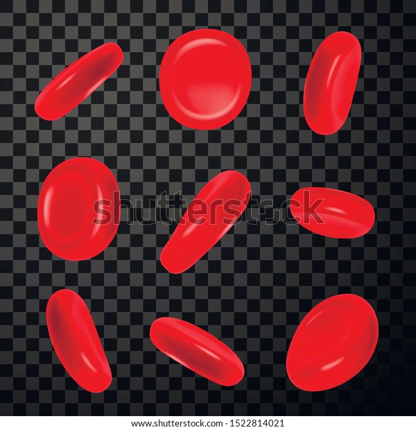 赤血球のリアルなベクターイラストセット 透明な背景に赤血球 ヘモグロビン分子をレンダリングする 微生物学のコンセプト 健康血管動画コレクション のベクター画像素材 ロイヤリティフリー