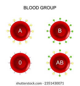 Tipo de glóbulos rojos. Grupo sanguíneo ABO. Donación de sangre. Diagrama de vector