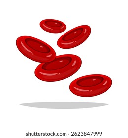 Red blood cells vector isolated on white background.
