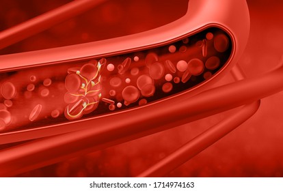 Red Blood Cells In Vein. Vector Illustration