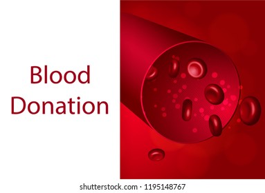 Red blood cells in the blood vessel. Vector illustration