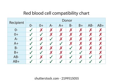 Red Blood Sell Compatibility Chart Recipient Stock Vector (Royalty Free ...