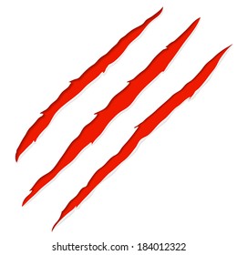 Red bloody claw deep scratches vector illustration