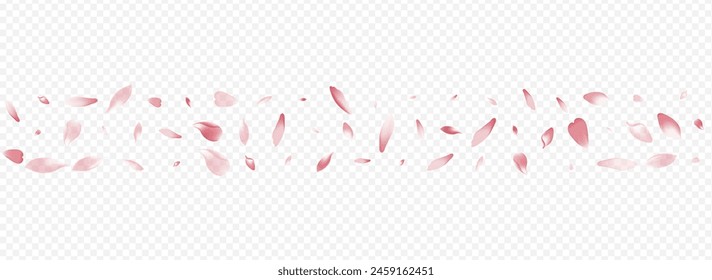 Red Bloom Vector Panoramic Transparent Background. Petal Romance Card. Blooming Fresh Template. Floral Air Banner. Color Blossom Japan Illustration.