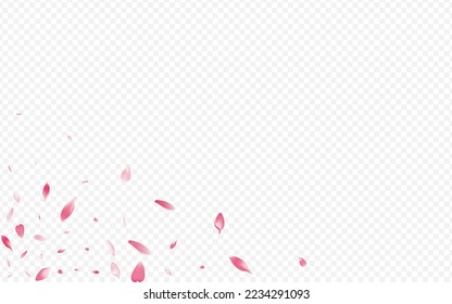 Red Bloom Vector Transparent Background. Lotus Nature Template. Peach Feminine Design. Leaf Blow Congratulation. Pink Tree Down Banner.
