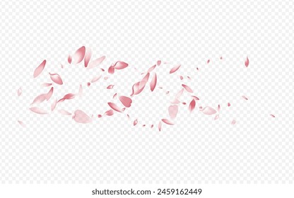 Fondo Transparente Del Vector De La Flor Roja. Diseño gráfico de melocotón. Textura de matrimonio Sakura. Plantilla de Boda de árbol. Póster suave de corazón rosa.