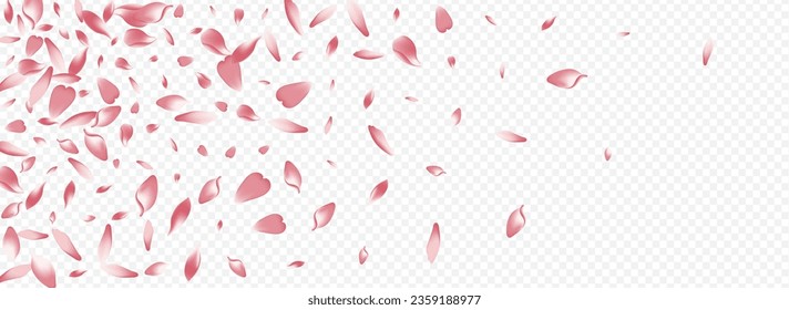 Red Blooming Vector Panoramic Transparent Background. Flower Down Poster. Lotus Invitation Design. Confetti Feminine Banner. Pink Rose Japan Illustration.