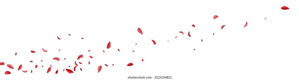 Red Blossom Blur Vector White Panoramic Background. Tender Rose Illustration. Beautiful Lotus Fly Banner. Delicate Flower Falling Poster.