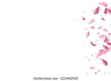 Red Blossom Fall Vector White Background. Flying Petal Pattern. Delicate Flower Beauty Template. Pink Sakura Falling Texture.