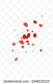 Red Blossom Falling Vector Transparent Background. Tender Peach Banner. Beautiful Sakura Beauty Poster. Delicate Flower Blur Template.