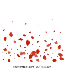 Red Blossom Falling Vector White Background. Flying Petal Design. Delicate Cherry Spring Banner. Pink Sakura Fall Pattern.