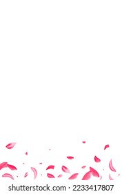 Red Blossom Flying Vector White Background. Blur Flower Pattern. Pink Floral Fall Illustration. Beautiful Sakura Japanese Banner.