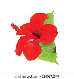 Red blossom hibiscus flower with green leaf isolated on white background. Watercolor style hand draw painting. Vector illustration. Clipart