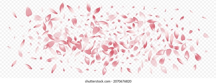 Red Blossom Vector Panoramic Transparent Background. Lotus Flutter Card. Confetti Air Illustration. Bloom Soft Cover. Pink Tree Feminine Poster.