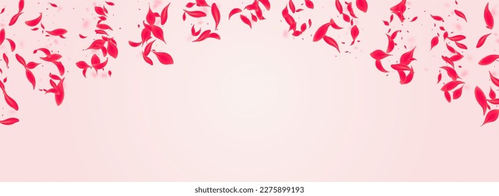 Red Blossom Vector Pink Panoramic Background. Japanese Petal Template. Ruby Cherry Japan Banner. Carmine Summer Sakura Frame.