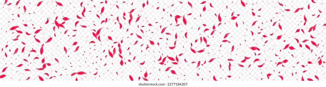 Red Blossom Vector Transparent Panoramic Background. Blur Rose Pattern. Pink Floral Tender Texture. Beautiful Fly Peach Poster.