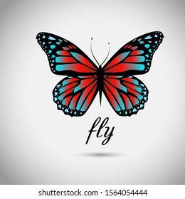 Red blue butterfly. Vector illustration