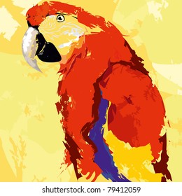 red blue Macaw parrot