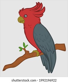 red and blue parrot illustration image