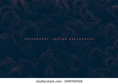 Red And Blue Topographic Detailed Contour Map Abstract Vector Background